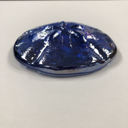 3-D Sand Dollar Blue Irridized - Image 3